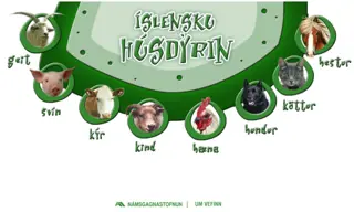 Íslensku húsdýrin