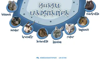 Íslensku landspendýrin