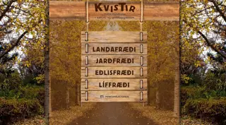 Kvistir