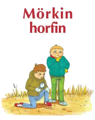 Mörkin horfin