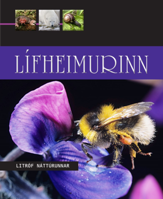 Lífheimurinn