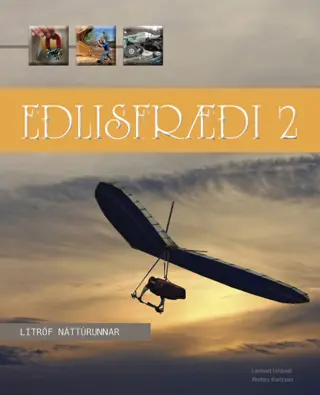 Eðlisfræði 2
