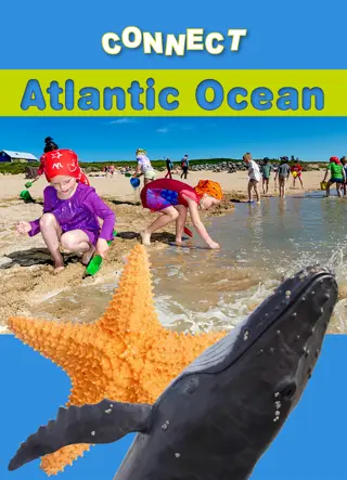 Connect - Atlantic Ocean