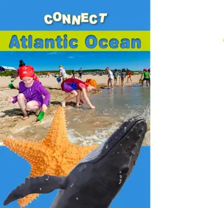 Connect - Atlantic Ocean