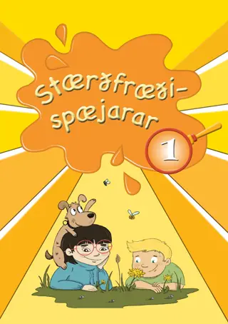 Stærðfræðispæjarar 1