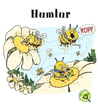 Milli himins og jarðar - Humlur