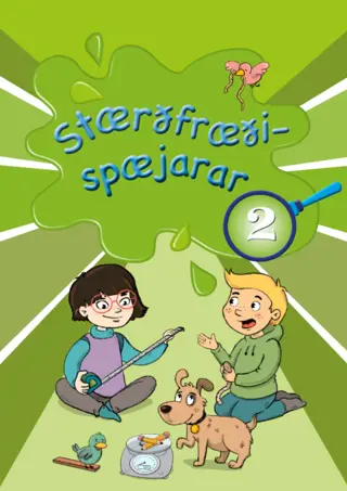 Stærðfræðispæjarar 2