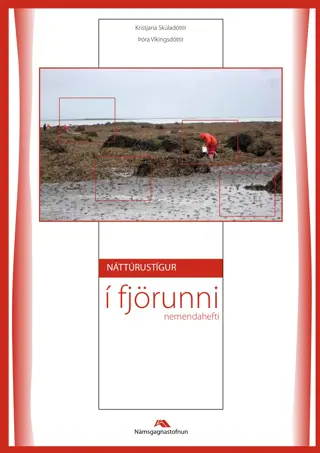 Náttúrustígur í fjörunni