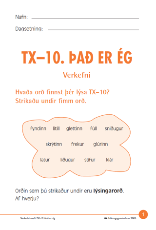 TX–10. Það er ég
